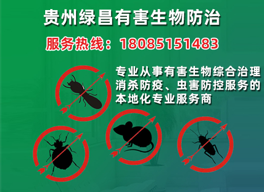 绿昌